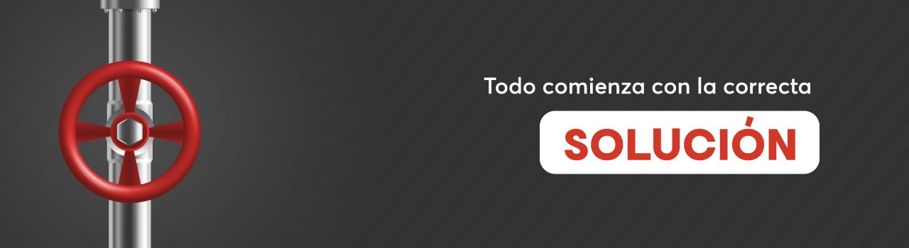 Todo comienza con la correcta solución